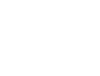 Dalkeith footer logo